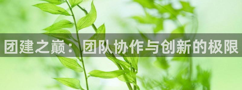 杏悦2老版本更新内容